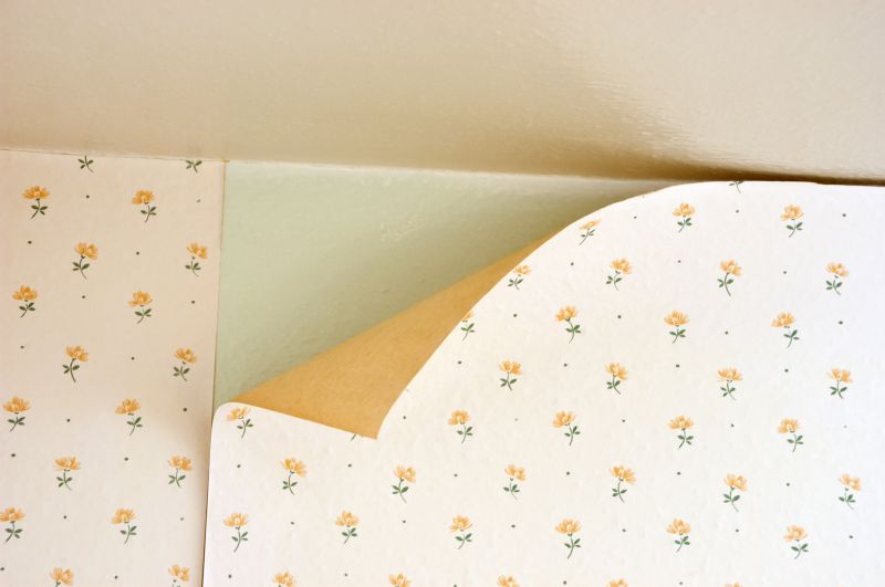 Wallpaper Seam Repair in Denver County, CO